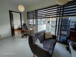 The Inflora (D17), Condominium #530072911